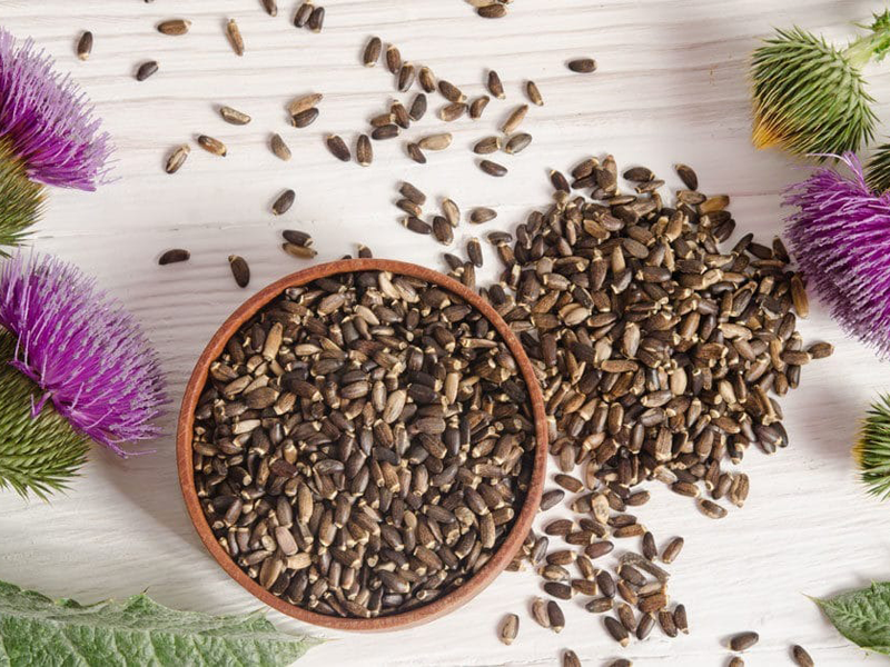 bao-ve-gan-voi-hop-chat-tu-cay-khe-sua