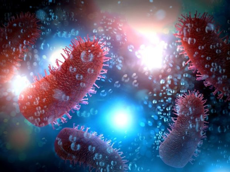 bi-cho-can-nguoi-dan-ong-phat-dai-chui-gam-giuong-va-tu-vong