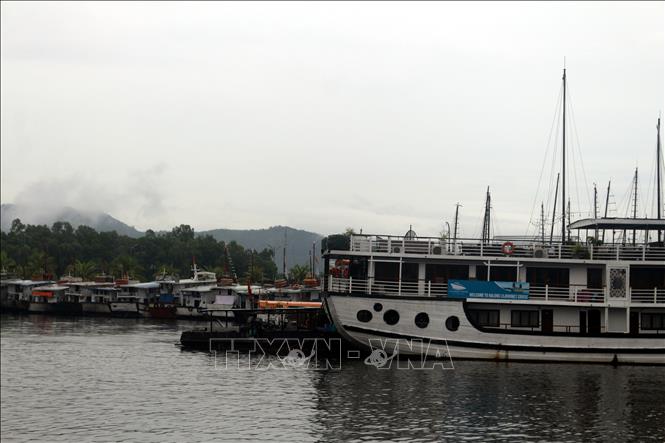 ha-long-020823-1