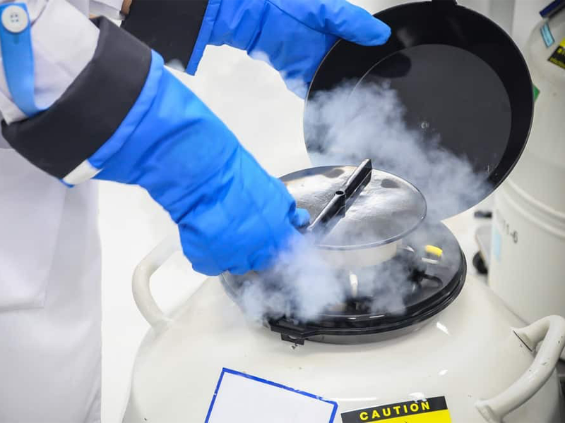 nguoi-dep-tien-si-gui-trung-de-danh-cho-sinh-con