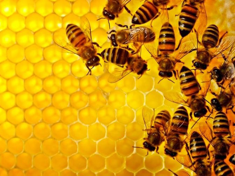 nhung-cong-dung-it-biet-cua-keo-ong